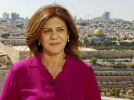 Al Jazeera Journalist