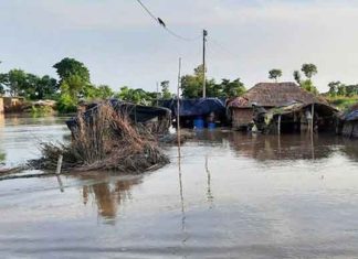 Assam Flood Sachkahoon