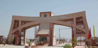 CDLU University