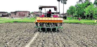 Direct Sowing of Paddy