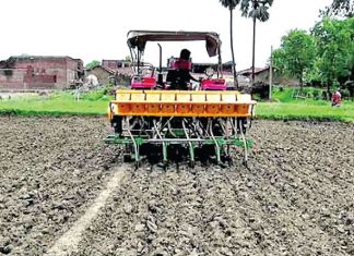 Direct Sowing of Paddy