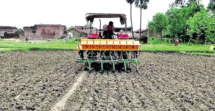 Direct Sowing of Paddy