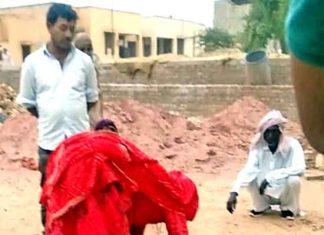 Dog Ate Newborn Sachkahoon