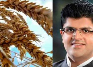 किसानों के खातों में सीधे भेजे 7513 करोड़ : दुष्यंत चौटाला Dushyant Chautala Sachkahoon