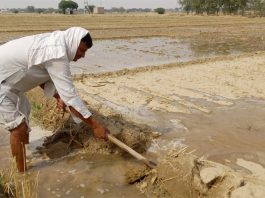 Farming Crisis