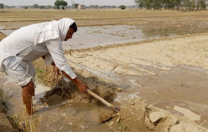 Farming Crisis