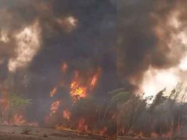 Fierce Fire sachkahoon