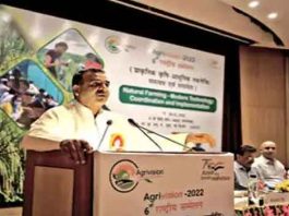 Free Ambulance Sachkahoon