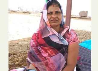 Fruit of Sewa Sachkahoon