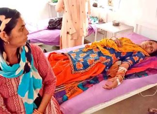 Humanity Wired sachkahoon