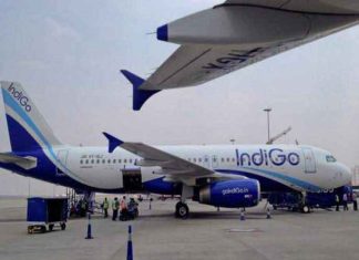 Indigo SACHKAHOON