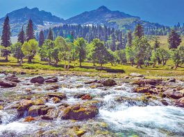 बच्चों की पसंदीदा जगह मनाली की सुंदर पहाड़ियां Manali Tourism