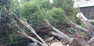 Parsvnath Green Society sachkahoon