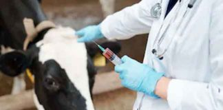 Protect Animals sachkahoon