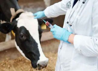 Protect Animals sachkahoon