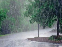 Mausam