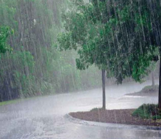 Mausam