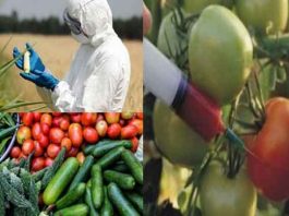 Reduce Pesticides Sachkahoon