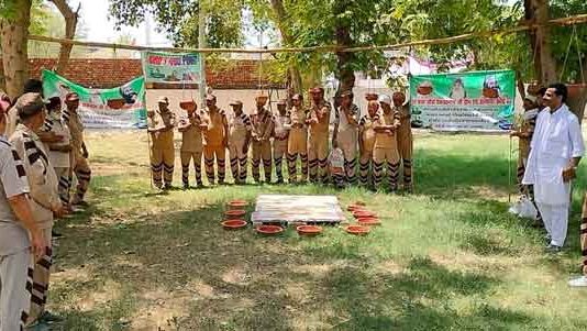 Save Birds Sachkahoon