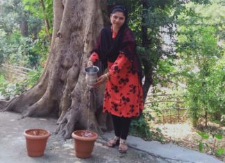 सुजानपुर की साध-संगत ने पक्षियों के लिए छतों पर किया दाना-पानी का प्रबंध