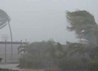 Strong winds and rain sachkahoon