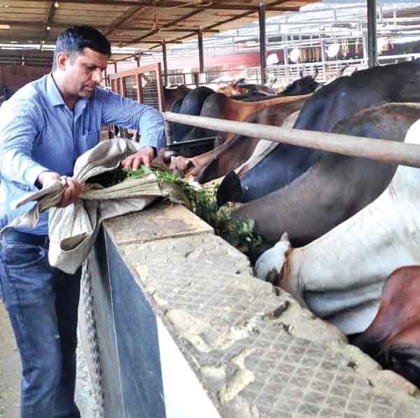 Welfare Work