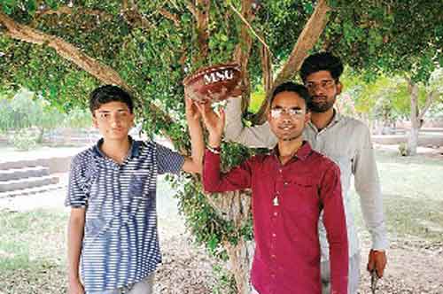 Welfare Work
