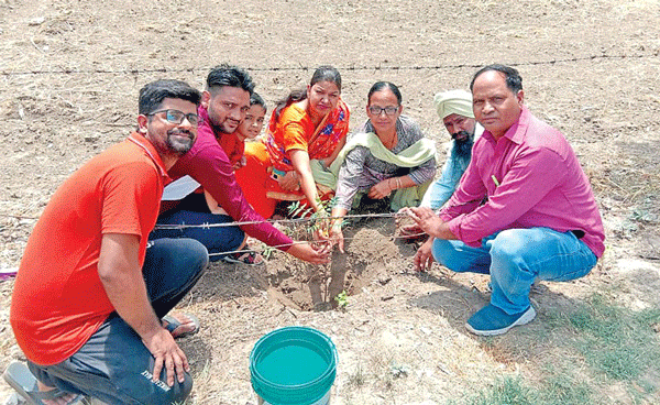 Welfare Work 