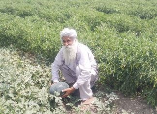 agriculture