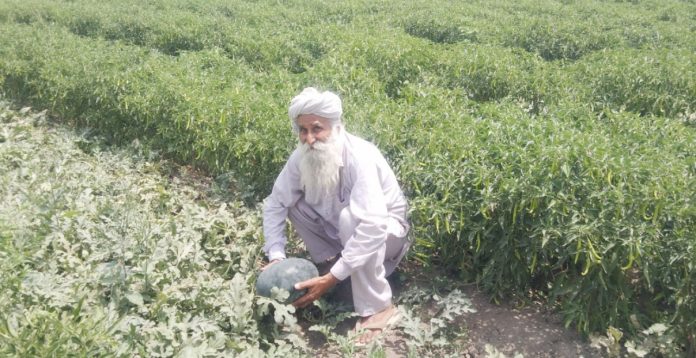 agriculture