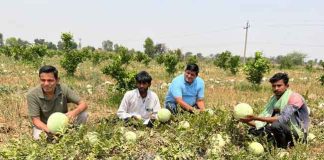 Barren Land sachkahoon