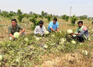 Barren Land sachkahoon