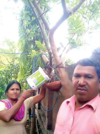 care of the voiceless sachkahoon