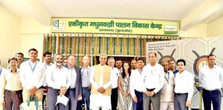 Honey Market sachkahoon