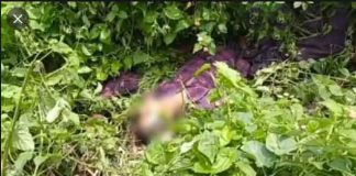 retired worker sachkahoon