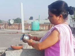 बेजुबान पक्षियों की सहायता में जम्मू-कश्मीर की साध-संगत ने बढ़ाए हाथ