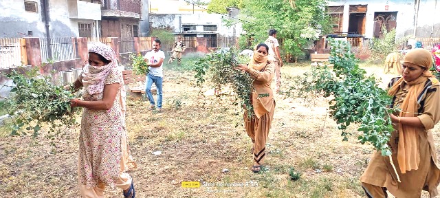 tree plantation and cleanliness campaign sachkahoon