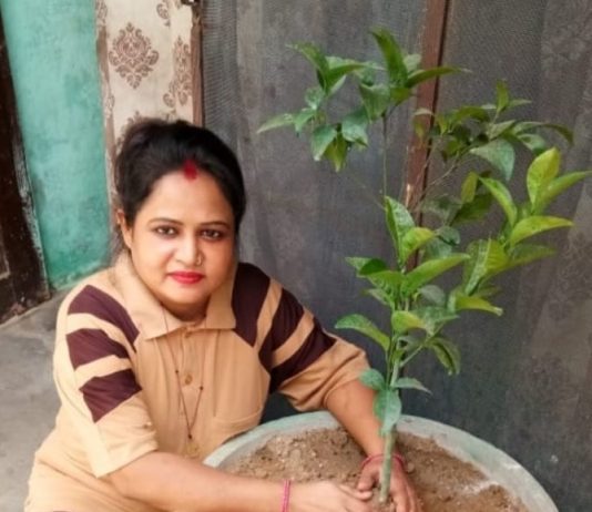 Welfare Work