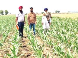 Farmer Sukhdev Singh