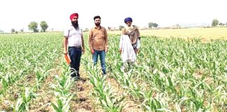 Farmer Sukhdev Singh