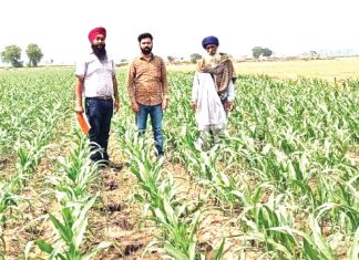 Farmer Sukhdev Singh