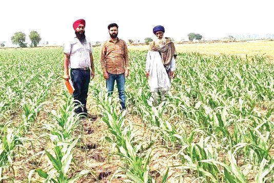 Farmer Sukhdev Singh