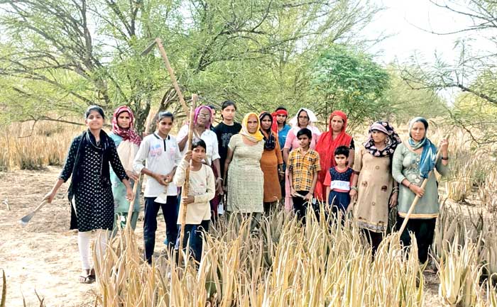 Welfare Work 
