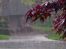 पश्चिमोत्तर में 12 जून तक लू व भीषण गर्मी से राहत के आसार Relief From Heat Wave