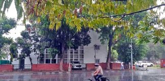 Heavy Rain in Chandigarh