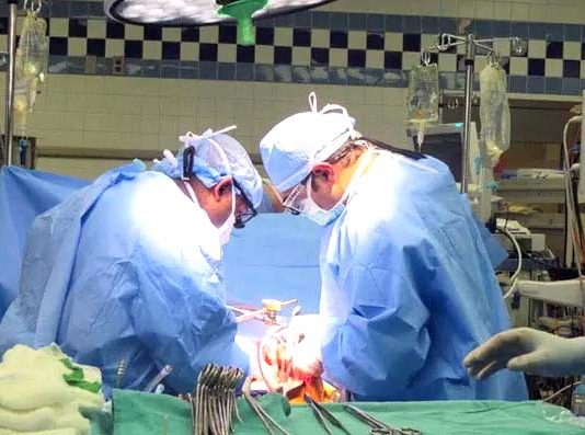 Liver Transplant