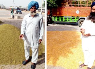 मंडियों में रुल रही मूंगी और मक्की को लेकर किसान-परेशान Farmers