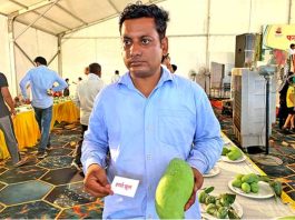 फलों के राजा चौसा लंगड़ा आम का स्वाद विदेशों में भी चख रहें है लाखों लोग