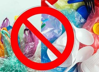 Plastic Ban