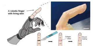 invantion human skin robot finger